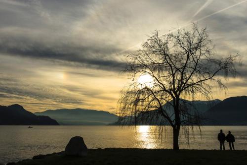 Φυσικό τοπίο κοντά σε αυτό το διαμέρισμα