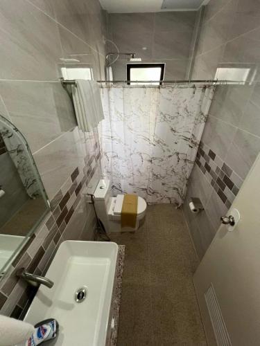 a bathroom with a toilet and a sink at Yalyn's Hometel Kabankalan in Kabankalan