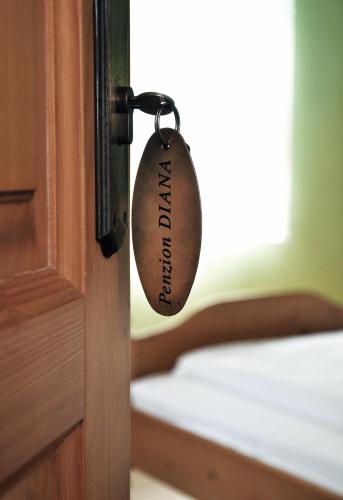 a door tag with the word entrance on it at Penzion Diana in Teplice nad Bečvou