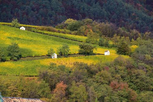 a field with two white barns on a hill at Angerburg Blumenhotel in Appiano sulla Strada del Vino