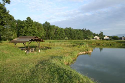 a picnic table next to a lake with a roof at Pokoje BALDI Benelux in Skoczów