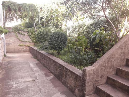 Apartment Pavlito
