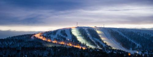 a snow covered hill with trees and a ski slope at Hotel Mezzo in Sälen