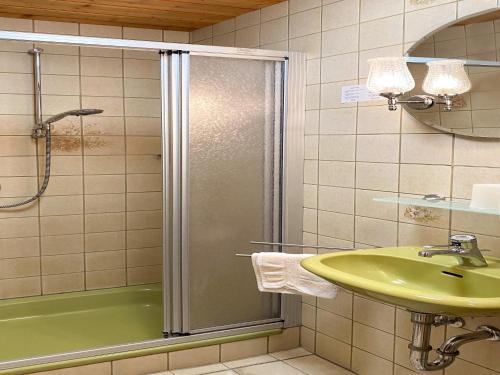 a bathroom with a shower and a sink at Gasthof Siebenstern in Röslau
