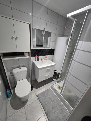 a bathroom with a toilet and a sink and a shower at Le cocon de mag in Miramas