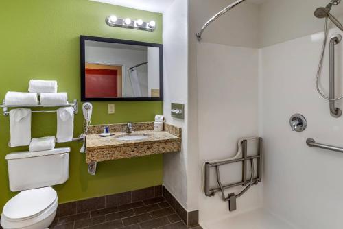 a bathroom with a toilet and a sink and a mirror at Sleep Inn & Suites Stockbridge Atlanta South in Stockbridge