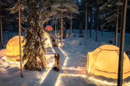 Invisible Forest Lodge & Spa
