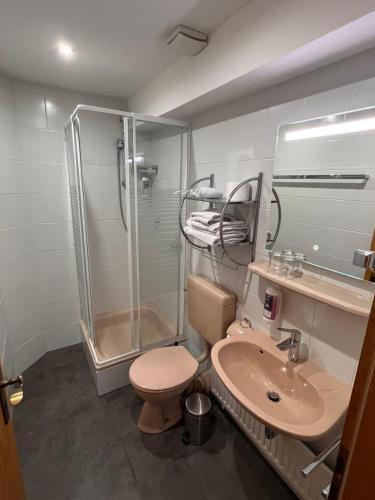 a bathroom with a shower and a toilet and a sink at Hotel Gasthof Altmann in Warzenried