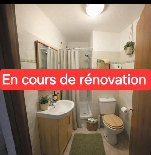 a bathroom with a toilet and a sink with an inscriptionemia courts de removal at Cozy 2-room beachfront Résidence Sognu Di Mare Casa Serenita in Linguizzetta
