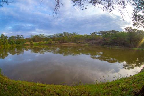 a river with a reflection of trees in the water at Sagana Getaway Resort in Maranjua