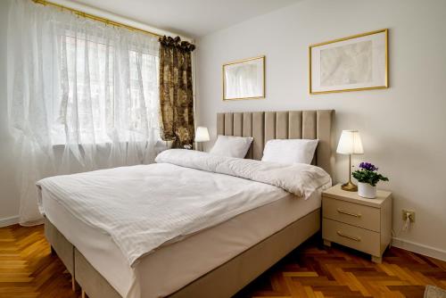 RentPlanet - Studio Pereca