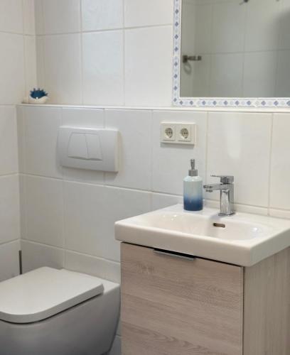 a bathroom with a sink and a toilet and a mirror at Ferienhaus Wattglück Tossens in Butjadingen