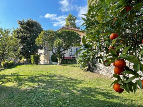 Foto Casa Alice - Tranquilla Casa con Giardino 1