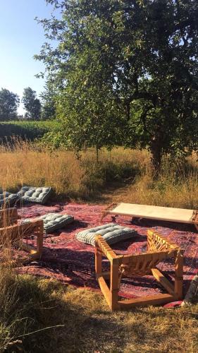 two picnic tables sitting on a blanket in a field at Appartement cosy au calme avec sauna in Kauffenheim