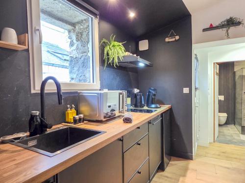 a kitchen with a sink and a counter top at L'Évasion Tropicale, Queen Size, Jardin & Gare in Saint-Brieuc