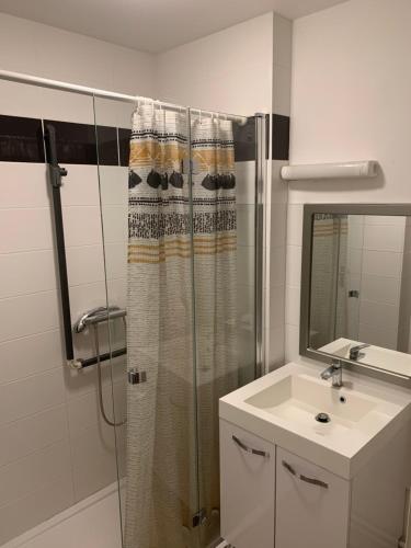 a bathroom with a shower and a sink and a mirror at Charming, comfortable 3-room apartment in Ronchin