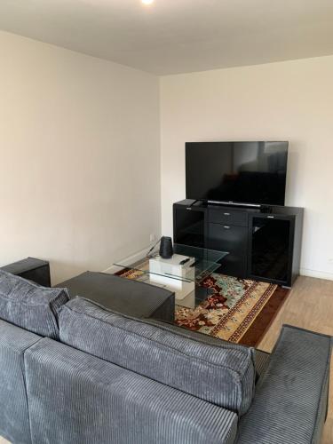 a living room with a couch and a flat screen tv at Charming, comfortable 3-room apartment in Ronchin