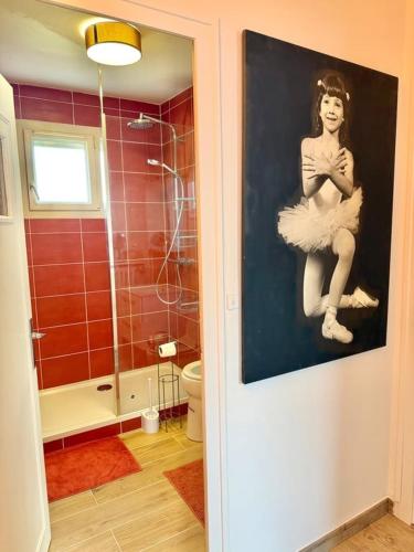 a bathroom with a picture of a woman on the wall at Le Chapelloise Ligérienne in La Chapelle-Saint-Mesmin