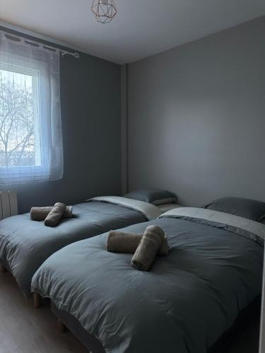 Bel Appartement-T3 Lumineux