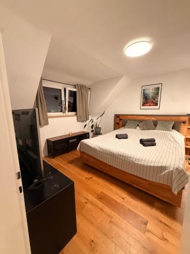 a bedroom with a bed and a flat screen tv at Gemütliche Doppelhaushälfte mit Garten und Sauna in Frechen