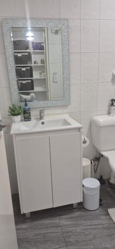 a bathroom with a white sink and a mirror at Spacious Apartment Oasis in Bankstown