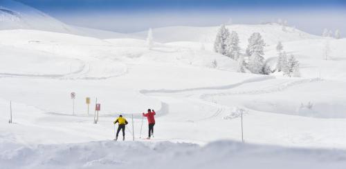 two people are skiing down a snow covered slope at Hotel Garni Grünmoos in Sankt Jakob in Defereggen