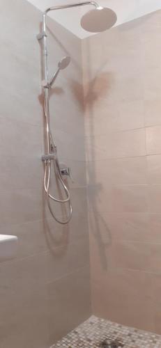 a shower in a bathroom with a shower head at La Baita Baretana 2 in Barete