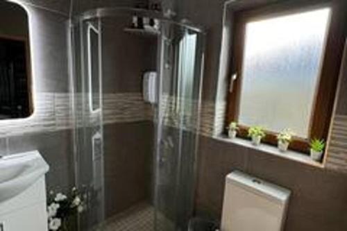 a bathroom with a shower and a toilet and a sink at Studio Sleeps 2 -Private Hot Tub -Enclosed Garden in Killarney