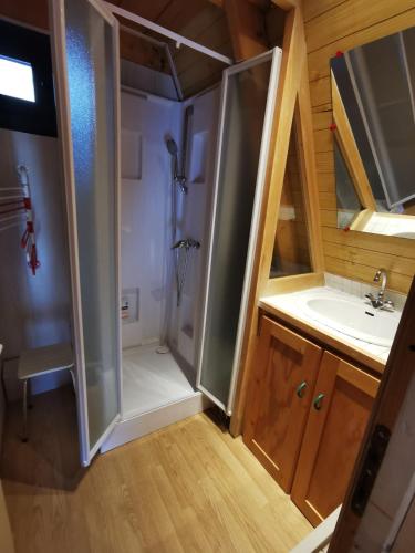 a small bathroom with a shower and a sink at Chalet du Lioran in Laveissière