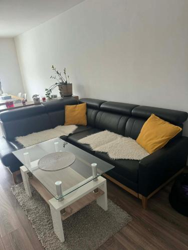Apartament Premium Centrum Chełm Plac Niepodległości