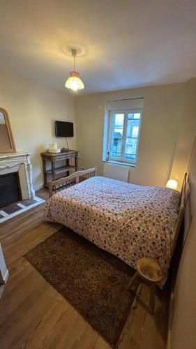 a bedroom with a large bed and a fireplace at L Entre Deux Époques in Pré-en-Pail