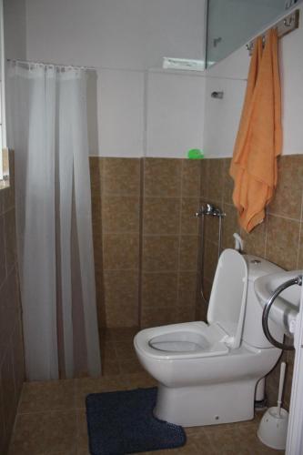 a bathroom with a white toilet and a shower at Bano Tourist Residence - 650 meters from Grand Bay Beach in Grand Baie