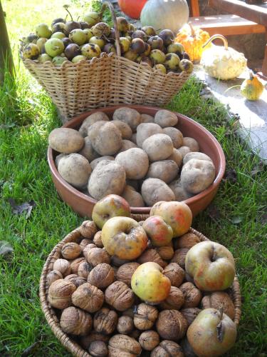 a bowl of potatoes and baskets of fruit on the grass at Farm Pri Flandru in Cerkno
