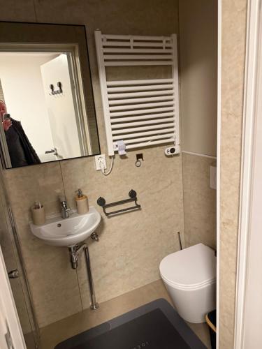 a bathroom with a sink and a toilet and a mirror at Arnhem Bouwmeesterstraat in Arnhem