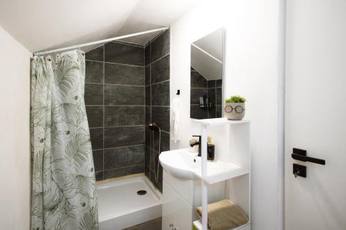 a bathroom with a sink and a shower at Sturzul Negru in Păiuş