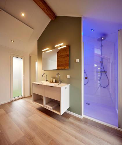 a bathroom with a sink and a shower at Tussen de Diepen in Blokzijl