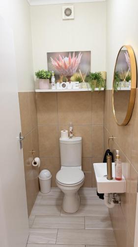 a bathroom with a toilet and a sink and a mirror at Villa on Private Estate with Pool in Hermanus