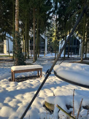 a snow covered park with a bench in the snow at Apartamenty Leśne Historie in Gołuchów