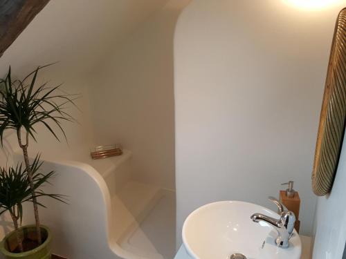 a bathroom with a sink and a toilet and a plant at Gîtes du Cosquer in Malguénac
