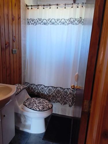 a bathroom with a toilet with a shower curtain at Astilleros,Dalcahue in Dalcahue
