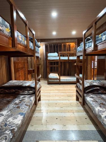 a room with several bunk beds in it at Bunk Stays in Darjeeling