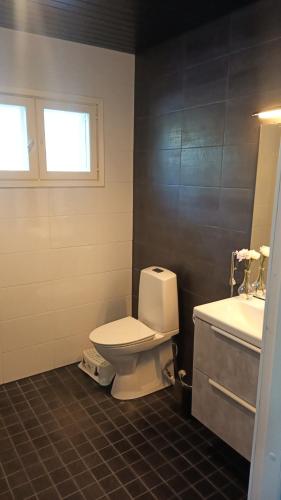 a bathroom with a white toilet and a sink at Villa Naava in Lukkarinsaari
