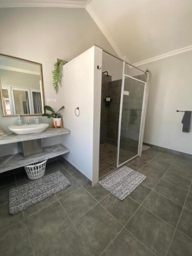 a bathroom with a shower and a sink and a mirror at Fern Rivers Self-Catering Accommodation in Pietermaritzburg