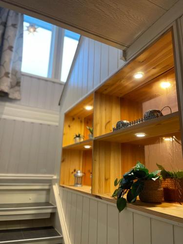 a kitchen with wooden cabinets and a potted plant at House under the Aurora Cozy Private Home with Fireplace in Laukvik