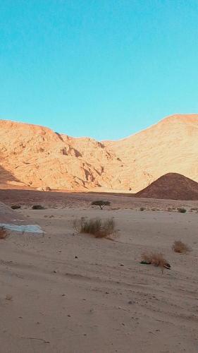 Wadi rum Nader