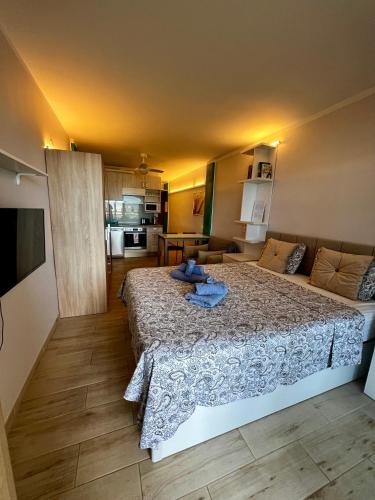 Studio ocean coast Los Cristianos Comodoro