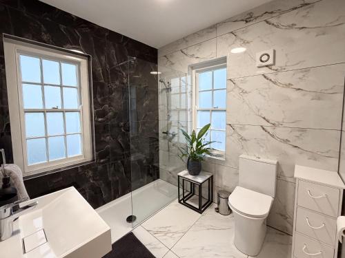 a bathroom with a shower and a toilet and a sink at Hilston Park in Monmouth