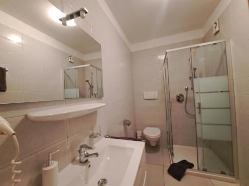 a bathroom with a shower and a sink and a toilet at B&B Brunnerhof in Feldthurns