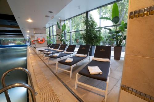 Hotel Divinus — Swimming pool