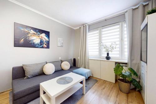 Magnolia Studio Deluxe City Center Anielewicza
